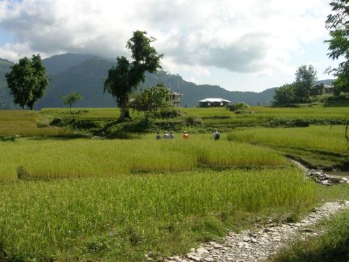 Tour Kalimpong
