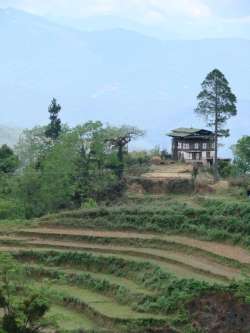 sikkim.ch Photos