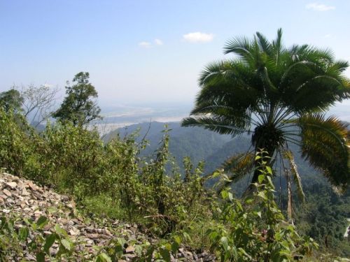 sikkim.ch Photos