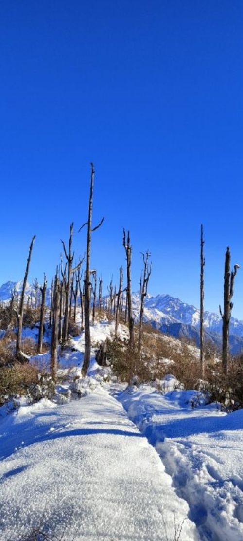 sikkim.ch Photos