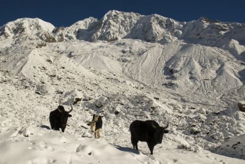 sikkim.ch Photos
