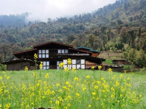 sikkim.ch Photos