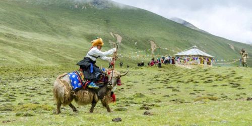 sikkim.ch Photos
