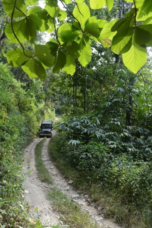 sikkim.ch Photos