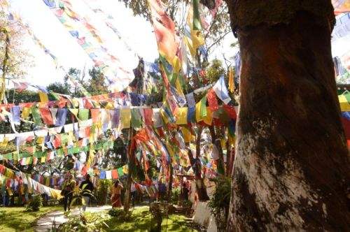 sikkim.ch Photos