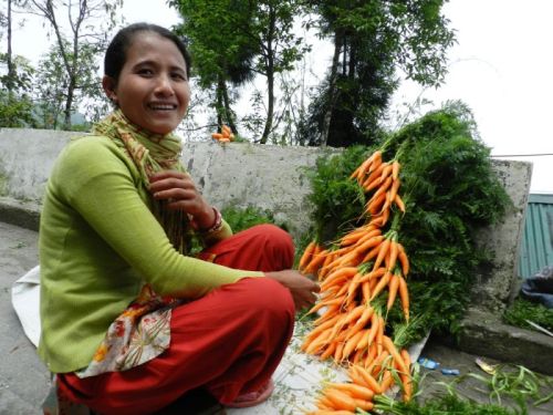 sikkim.ch Photos