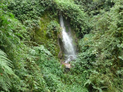 sikkim.ch Photos