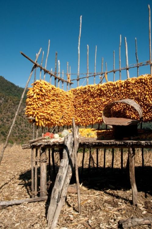 sikkim.ch Photos
