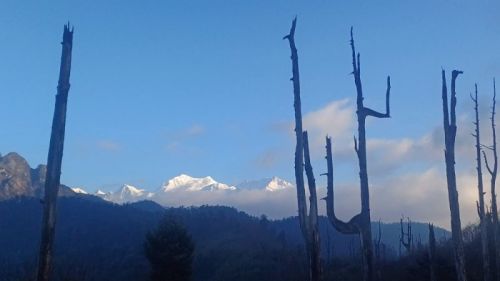 sikkim.ch Photos