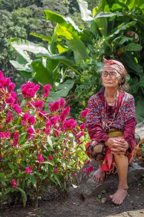 sikkim.ch Photos