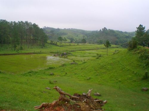 sikkim.ch Photos