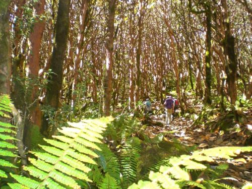 sikkim.ch Photos