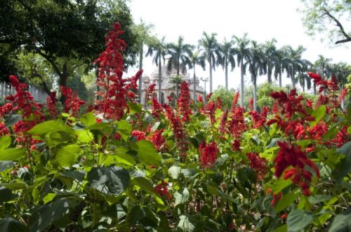 sikkim.ch Photos