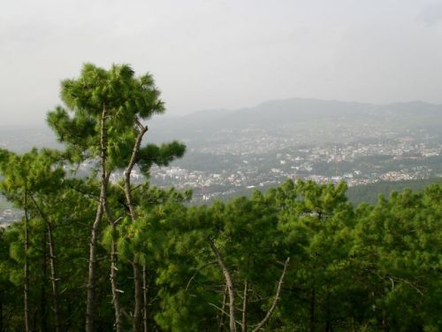 sikkim.ch Photos