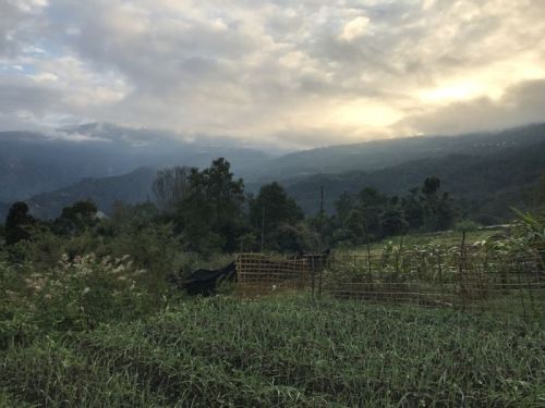 sikkim.ch Photos