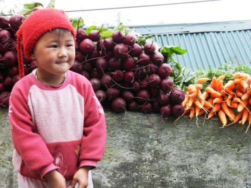 sikkim.ch Photos