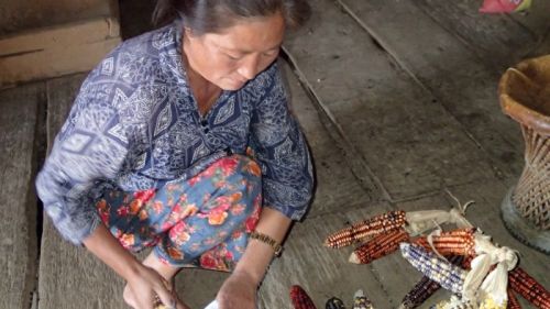 sikkim.ch Photos