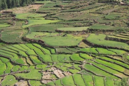 sikkim.ch Photos