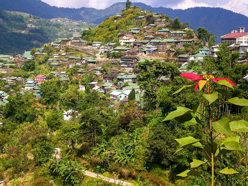 Manipur, Nagaland and Assam Tour Image