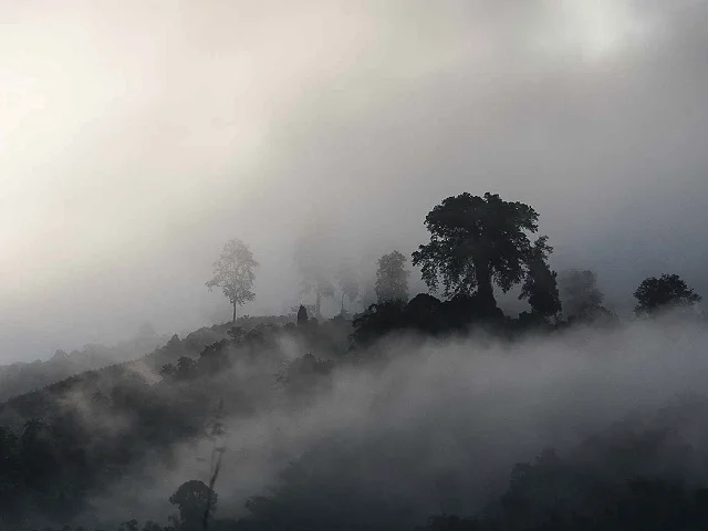Trip to Ziro & Ziro Image Three