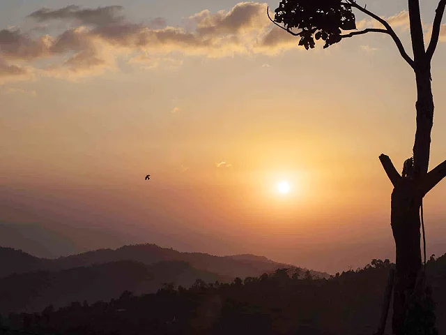 Information for your trip to India