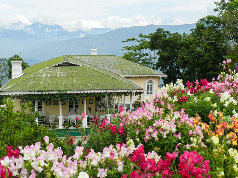 	
Darjeeling in style Image