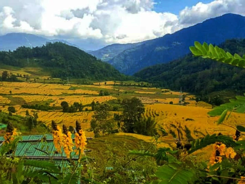 Sikkim, the East Image
