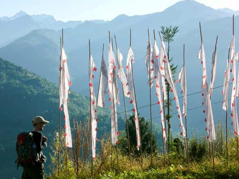 Sikkim’s wild north Image