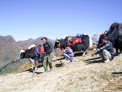 Travel planning