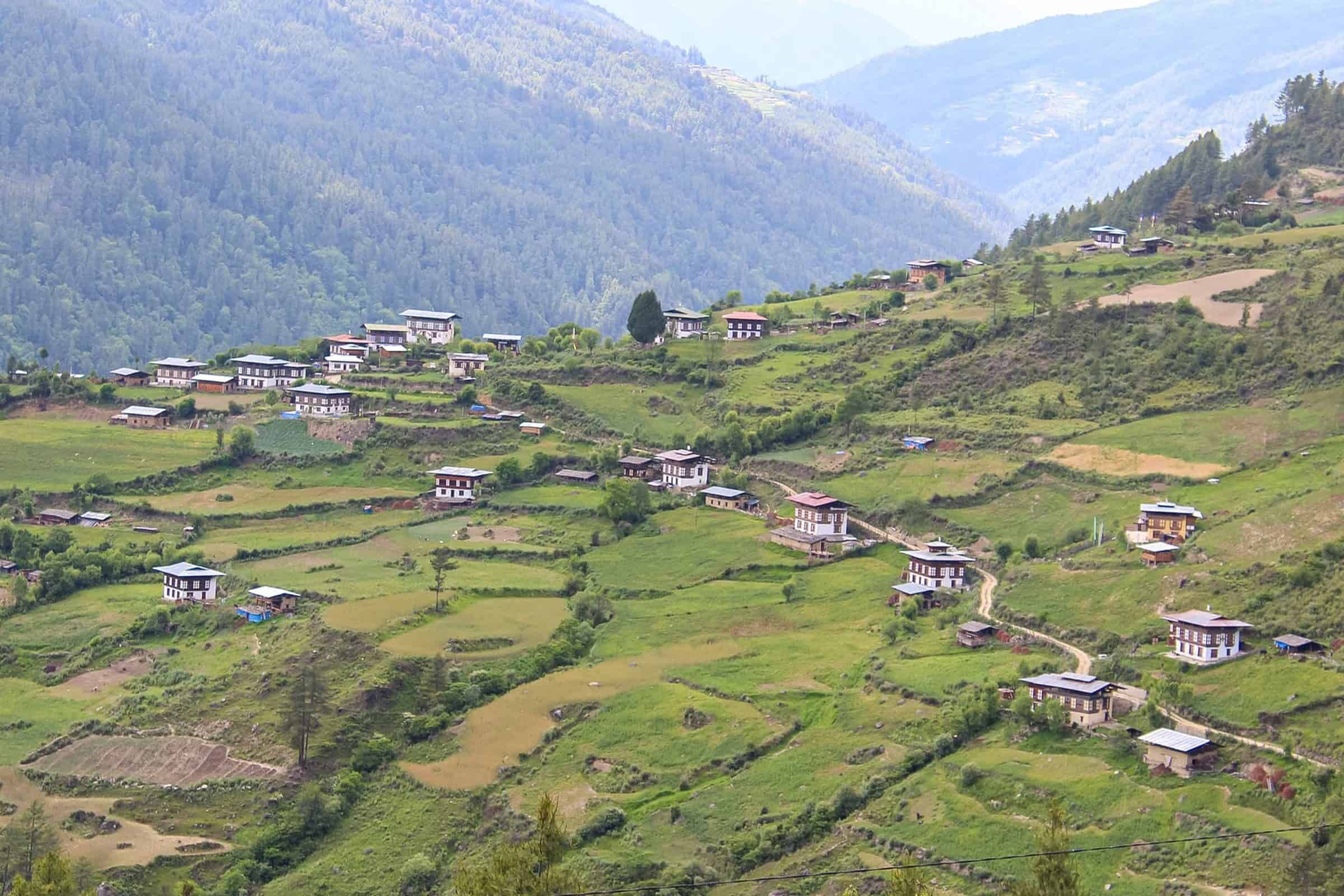 Bild Chomolhari Trek - Das ultimative Bhutan-Erlebnis 6 sikkim.ch | Nordostinidien und Sikkim Reisen - Bild zu Chomolhari Trek - Das ultimative Bhutan-Erlebnis