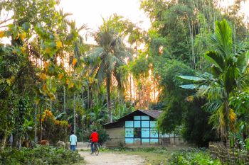 sikkim.ch | Nordostinidien und Sikkim Reisen - Bild zu Assam