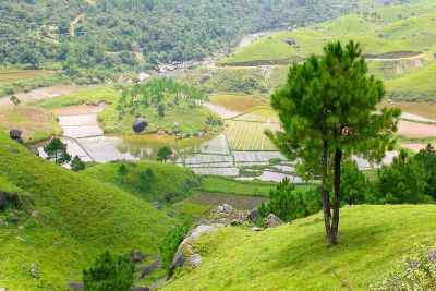 sikkim.ch | Nordostinidien und Sikkim Reisen - Bild zu Geschichte, Völker und Umwelt von Meghalaya