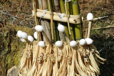 sikkim.ch | Nordostinidien und Sikkim Reisen - Bild zu Monasteries & indigenous peoples in Arunachal Pradesh round trip