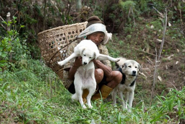 sikkim.ch | Nordostinidien und Sikkim Reisen - Bild zu Über Sikkim.ch / Terralaya