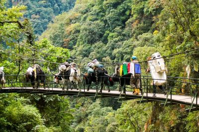 sikkim.ch | Nordostinidien und Sikkim Reisen - Bild zu Sikkim – Goechela Trekking