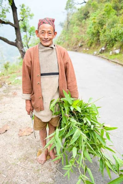 sikkim.ch | Nordostinidien und Sikkim Reisen - Bild zu Ländliches Sikkim: Land und Leute erleben