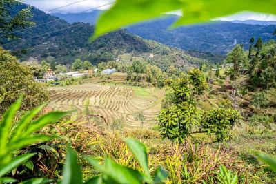 sikkim.ch | Nordostinidien und Sikkim Reisen - Bild zu Sikkim, der Osten