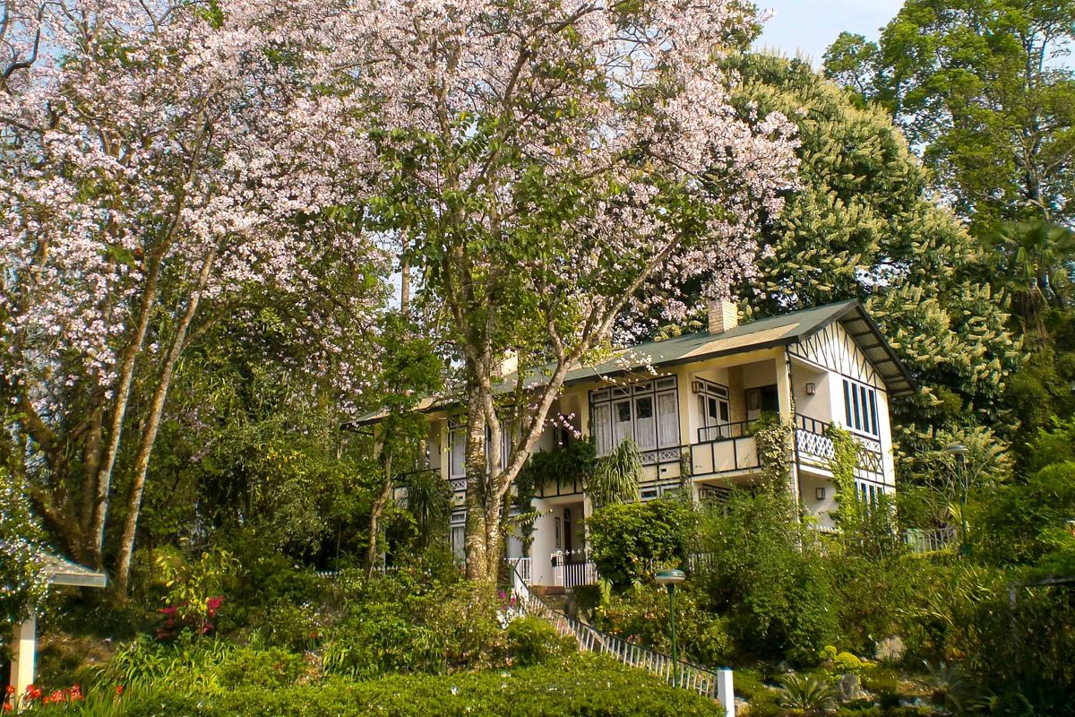 Bild Kalimpong culture & hiking tour 1 sikkim.ch | Nordostinidien und Sikkim Reisen - Bild zu Kalimpong culture & hiking tour