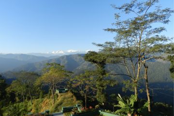 sikkim.ch | Nordostinidien und Sikkim Reisen - Bild zu Darjeeling & Kalimpong