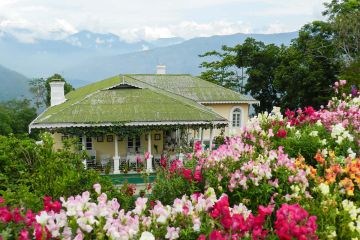 sikkim.ch | Nordostinidien und Sikkim Reisen - Bild zu Darjeeling & Kalimpong