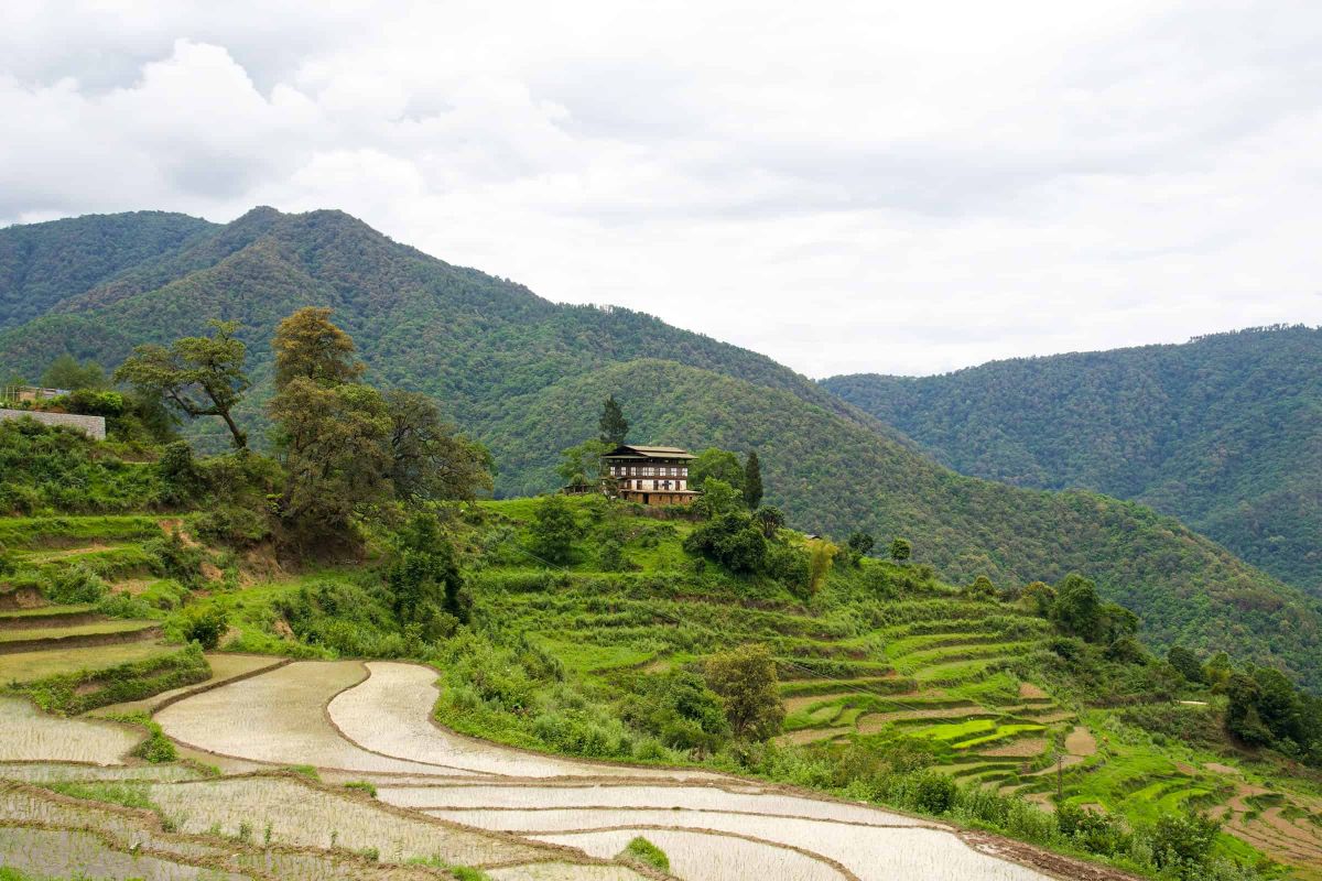 sikkim.ch | Nordostinidien und Sikkim Reisen - Bild zu Snow Man Laya Trek - Trekkingtraum in Bhutan