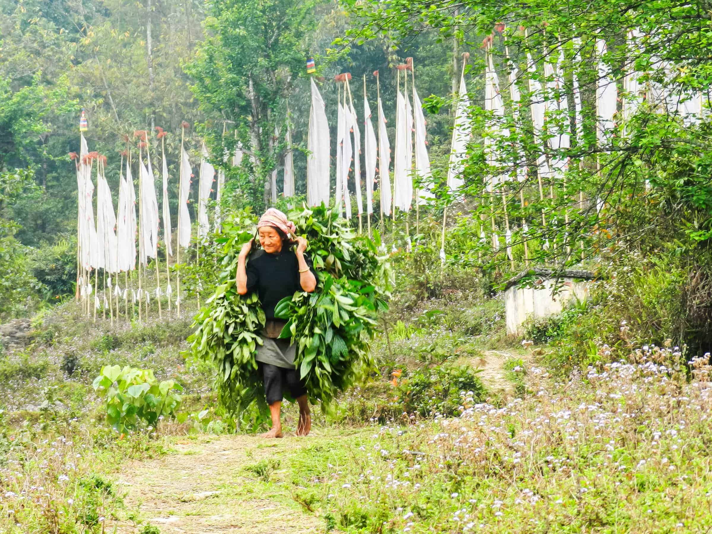 sikkim.ch | Nordostinidien und Sikkim Reisen - Bild zu History and peoples of Sikkim