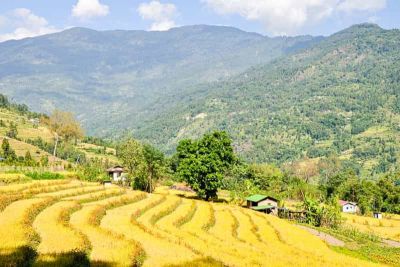 sikkim.ch | Nordostinidien und Sikkim Reisen - Bild zu Sikkim's wild north