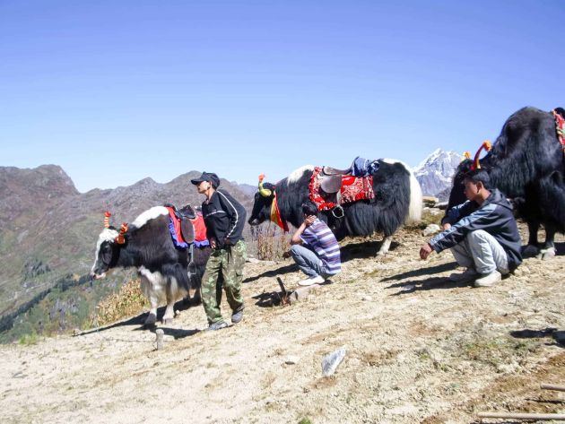 sikkim.ch | Nordostinidien und Sikkim Reisen - Bild zu Reiseplanung