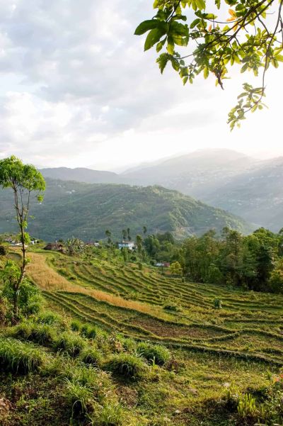 sikkim.ch | Nordostinidien und Sikkim Reisen - Bild zu Sikkim