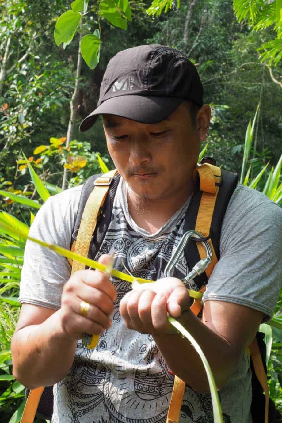 Bild Über Sikkim.ch / Terralaya 15 sikkim.ch | Nordostinidien und Sikkim Reisen - Bild zu Über Sikkim.ch / Terralaya