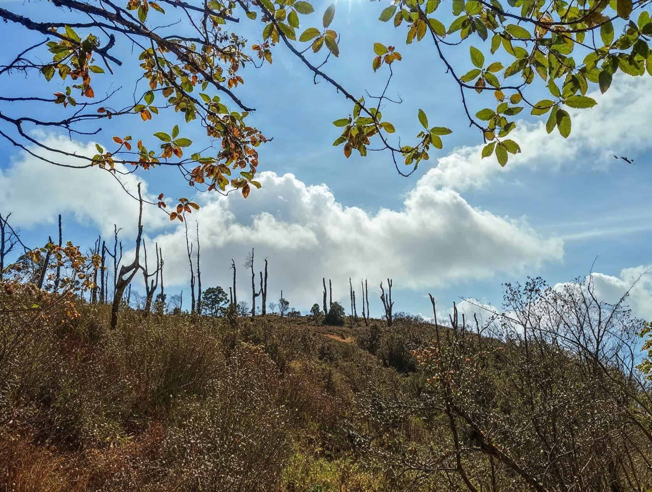 sikkim.ch | Nordostinidien und Sikkim Reisen - Bild zu Sikkim Cultural Tour & Trekking Journey