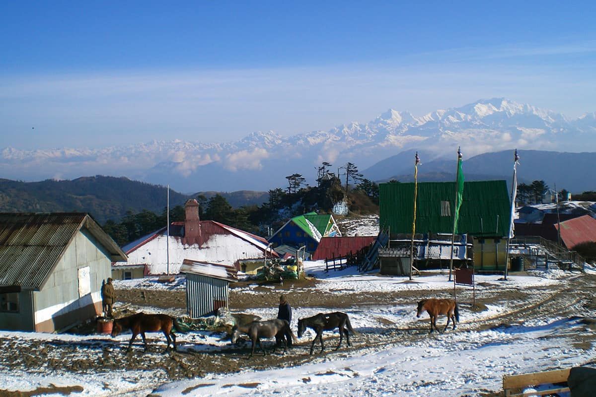 sikkim.ch | Nordostinidien und Sikkim Reisen - Bild zu Darjeeling Sherpa Phalut trekking - Trek between Bhutan and Nepal