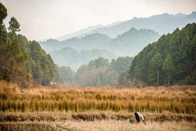sikkim.ch | Nordostinidien und Sikkim Reisen - Bild zu Geschichte, Völker und Umwelt von Arunachal Pradesh