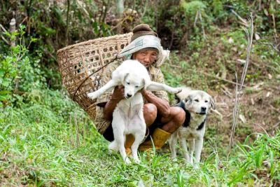 sikkim.ch | Nordostinidien und Sikkim Reisen - Bild zu Authentisches Sikkim